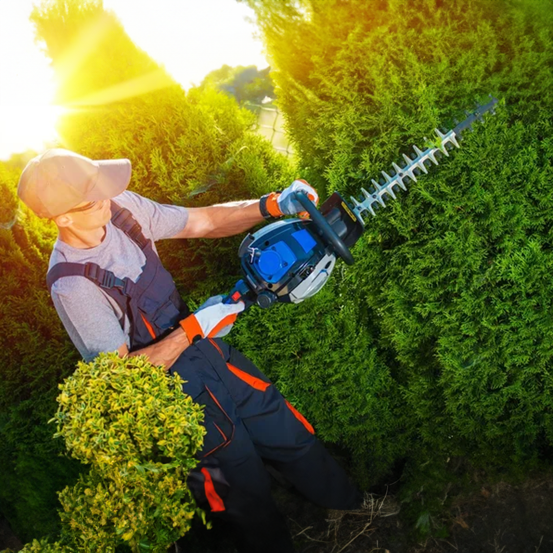 Hedge Trimming